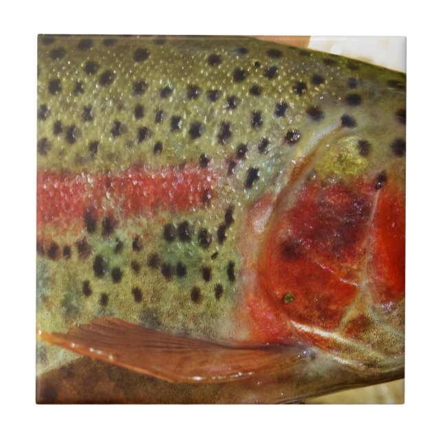 Trout in Hands Ceramic Tile (Front)