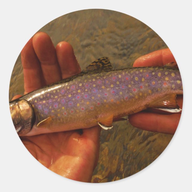 Trout in Hands Classic Round Sticker (Front)