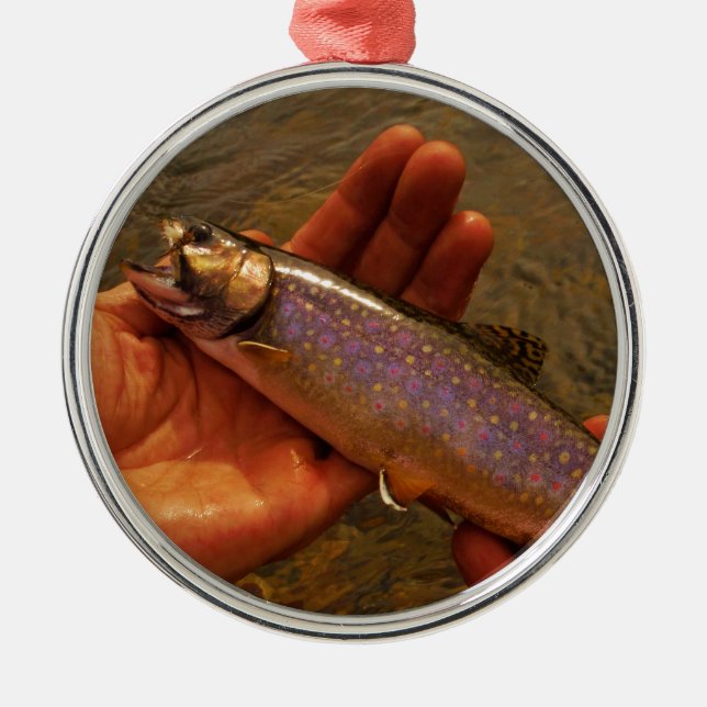 Trout in Hands Metal Ornament (Front)