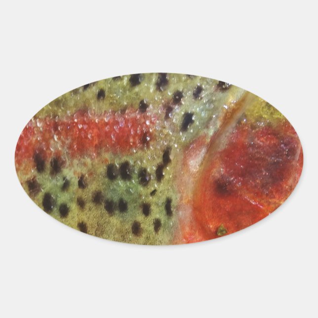Trout in Hands Oval Sticker (Front)
