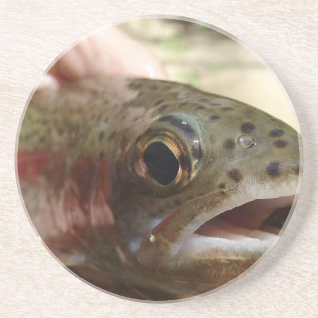 Trout in Hands Sandstone Coaster (Front)