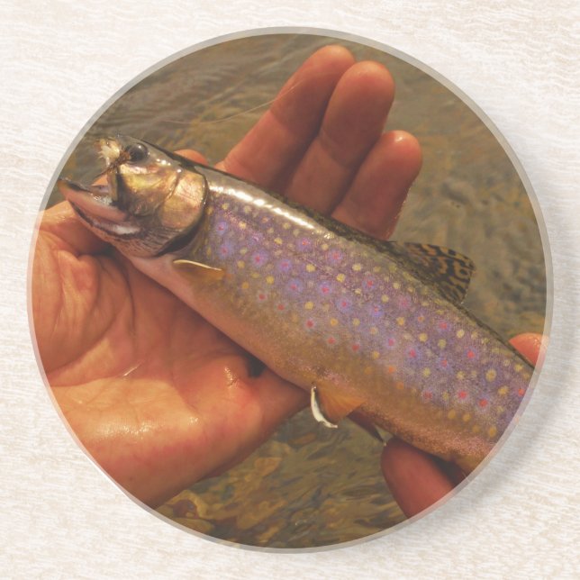 Trout in Hands Sandstone Coaster (Front)