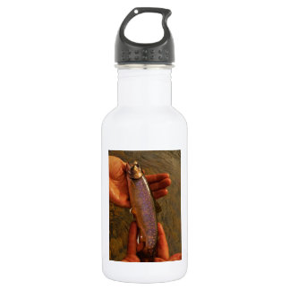 Trout in Hands Stainless Steel Water Bottle
