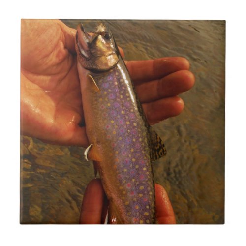 Trout in Hands Tile