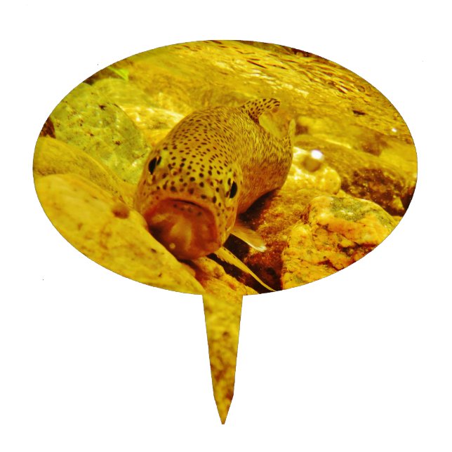 Trout in stream cake topper (Front)