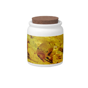 Trout in stream candy jar