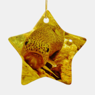 Trout in stream ceramic ornament