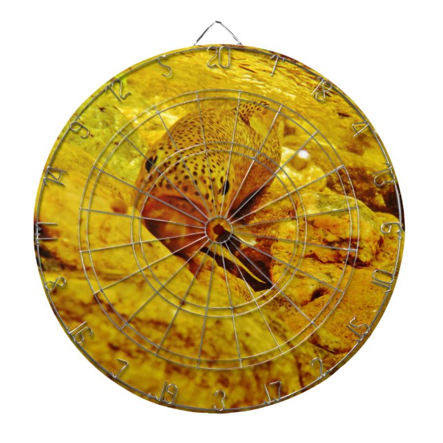 Trout in stream dart board (Front)