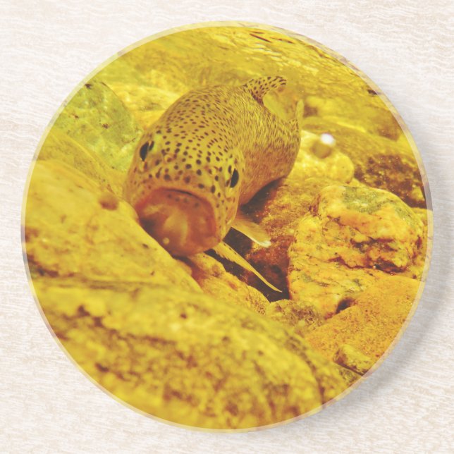 Trout in stream drink coaster (Front)