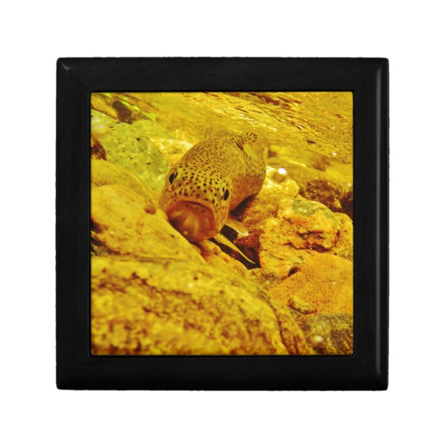 Trout in stream keepsake box (Front)