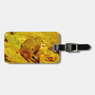 Trout in stream luggage tag