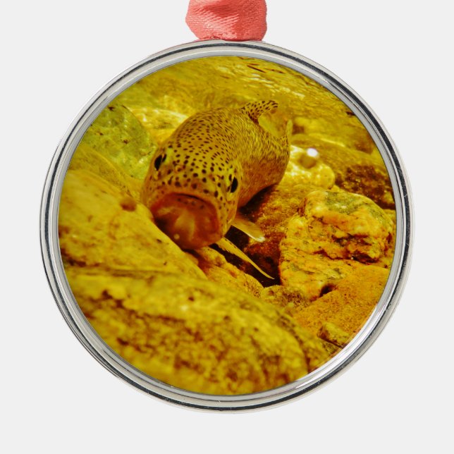 Trout in stream metal ornament (Front)