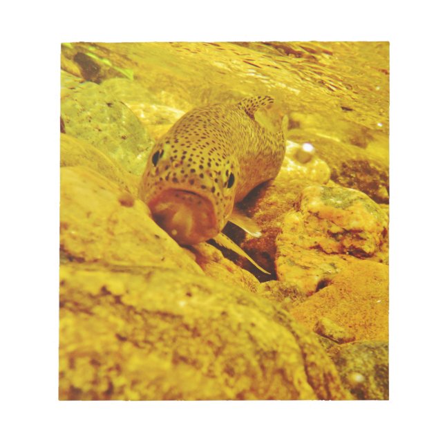 Trout in stream notepad (Front)