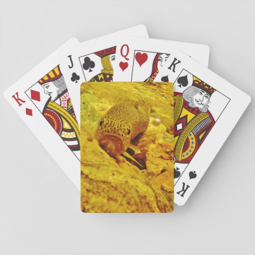 Trout in stream playing cards