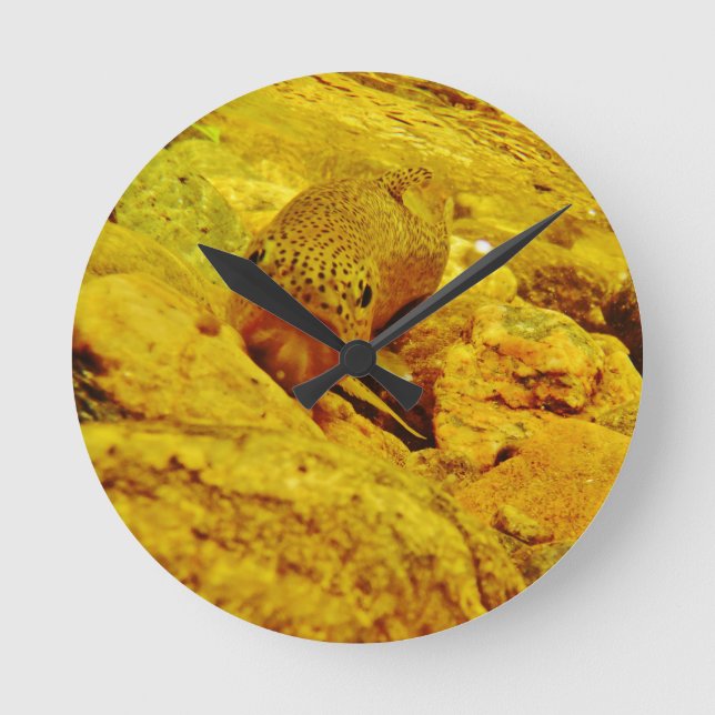 Trout in stream round clock (Front)