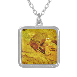 Trout in stream silver plated necklace