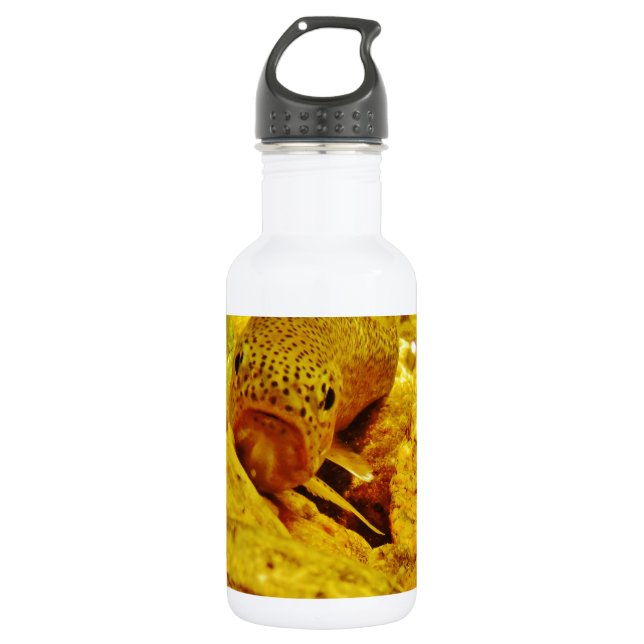 Trout in stream stainless steel water bottle (Front)