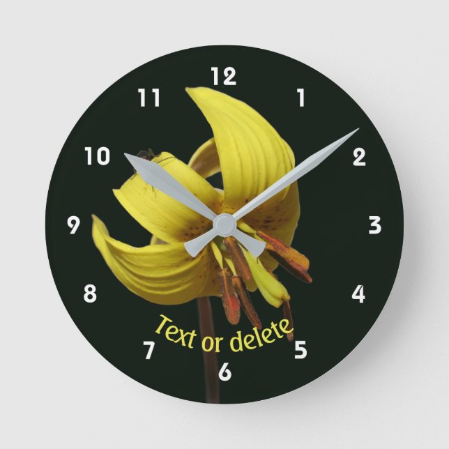 Trout Lily And Firefly Floral Personalized Round Clock (Front)