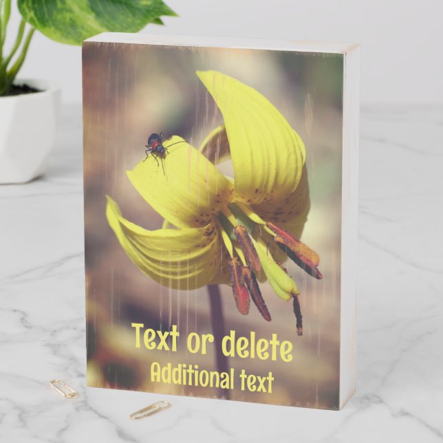 Trout Lily Flower And Insect Friend Personalized Wooden Box Sign (In Situ Vertical)
