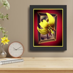 Trout Lily Flower Out Of Bounds Framed Art