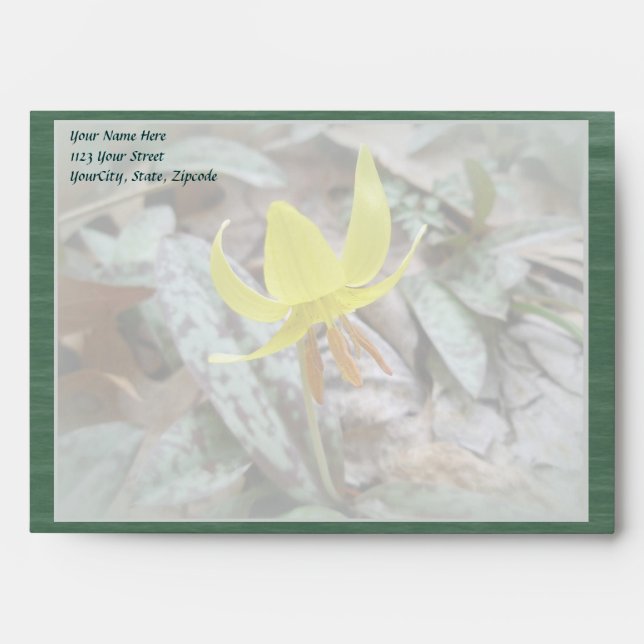 Trout Lily Wildflower - Erythronium americanum Envelope (Front)