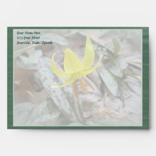 Trout Lily Wildflower - Erythronium americanum Envelope