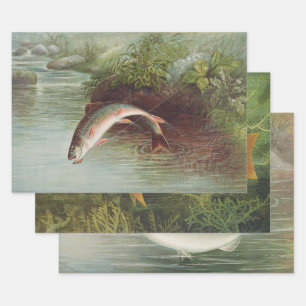 Trout, Red Snapper, California Salmon by Kilbourne Wrapping Paper Sheets