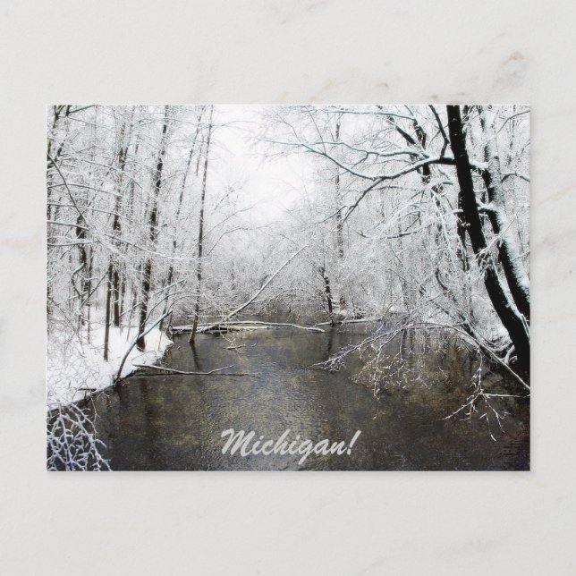 Trout River Postcard (Front)