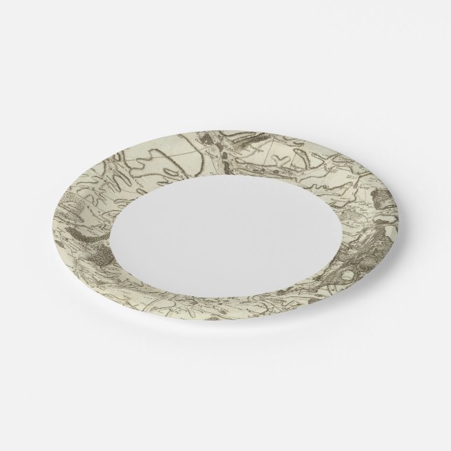 Troyes Paper Plates (Angled)