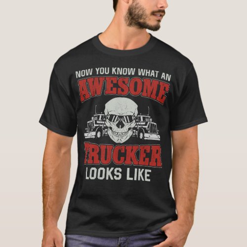 Trucker Truck Driver Now You Know What An Awesome T_Shirt