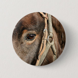 True Beauty Pinback Button