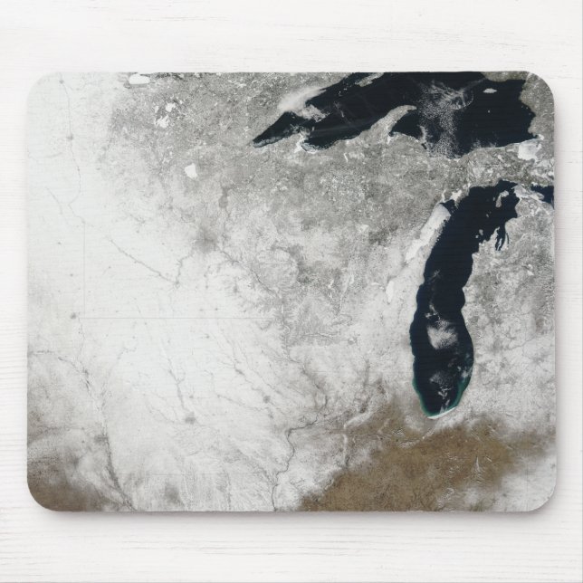 True-color image of snow mouse pad (Front)