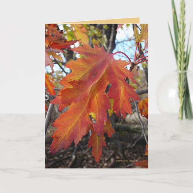 True Colors Card (Front)