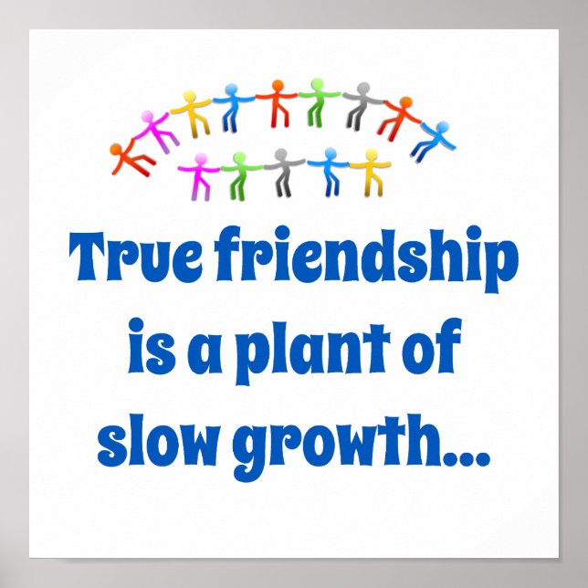 True Friendship Is A Plant Of Slow Growth - Friend Poster (Front)