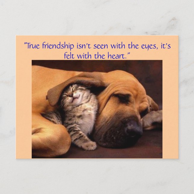 "True friendship ... Postcard (Front)