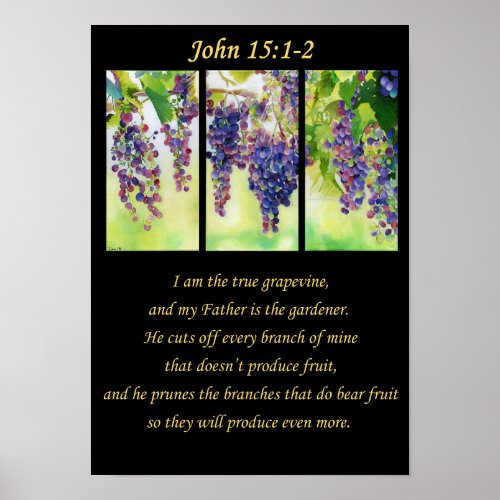 True Grapevine Christian Art  Poster