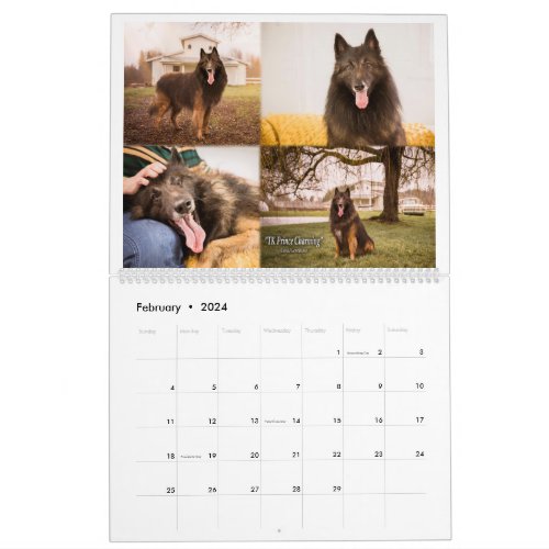 True Knight Belgian Tervuren dogpuppy Calendar