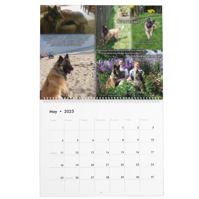 True Knight Tervuren Puppy Review Calendar 1 Zazzle