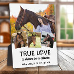 True Love Horse Lover Personalized 4 Photo Collage Plaque<br><div class="desc">True Love was Born in a Stable! Looking for a cool horse lover gift, a unique and stylish photo collage plaque perfect for horse lovers and equestrian enthusiasts alike. This one of a kind piece features the phrase "True Love is born in a Stable" with a horse design alongside a...</div>