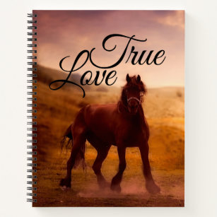 True Love Horse Notebook