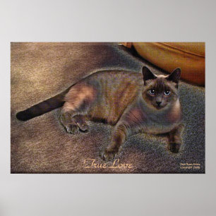 TRUE LOVE Kitty Art Poster