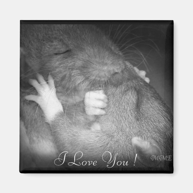 True Love Magnet (Front)