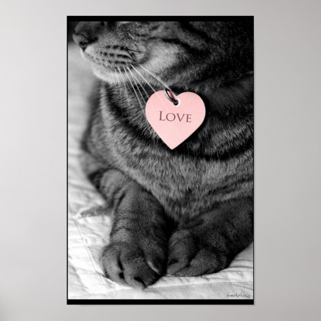 True Love Poster (Front)