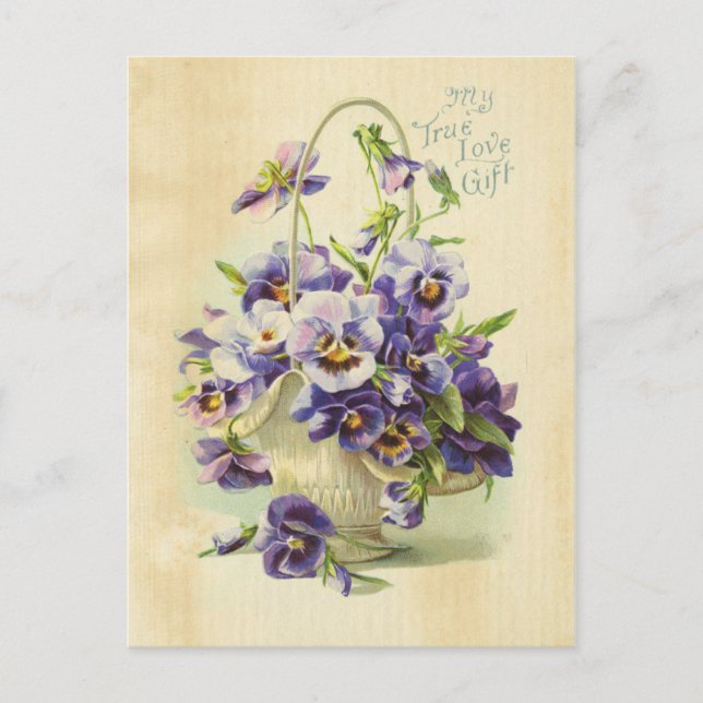 True Love Purple Flower Vintage Illustration Aged Postcard (Front)