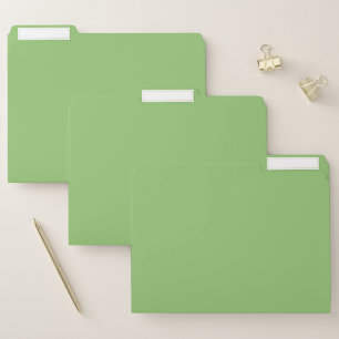 True Pistachio Green File Folder