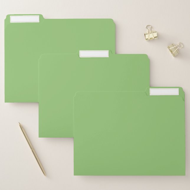 True Pistachio Green File Folder (Set)
