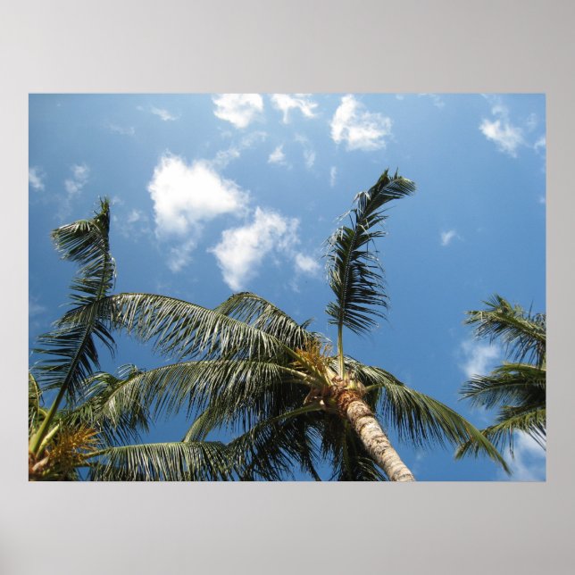 True Relaxation Poster (Front)