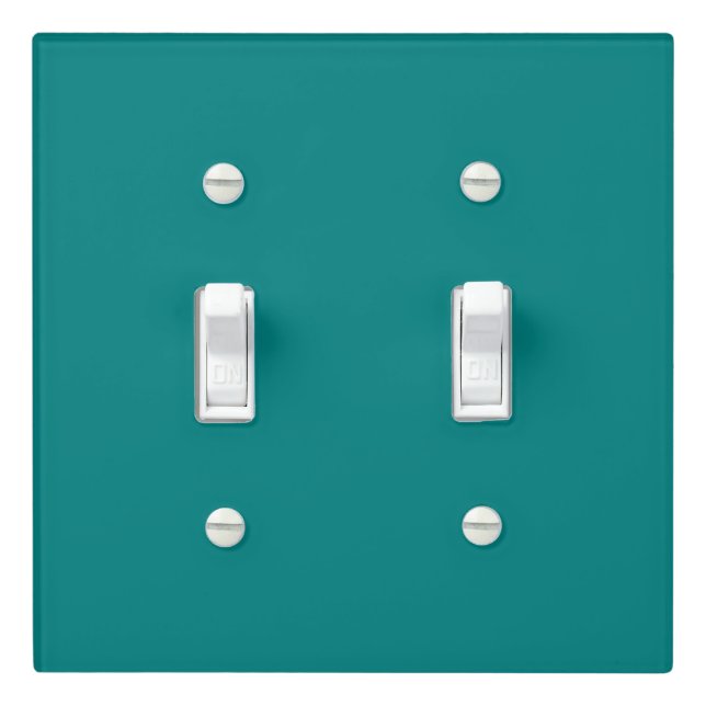 True Teal Light Switch Cover (In Situ)