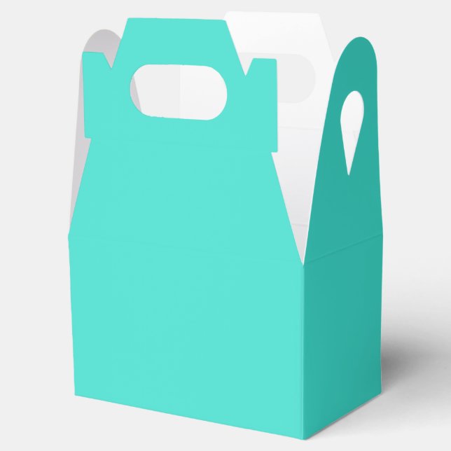True Turquoise Favor Boxes (Opened)