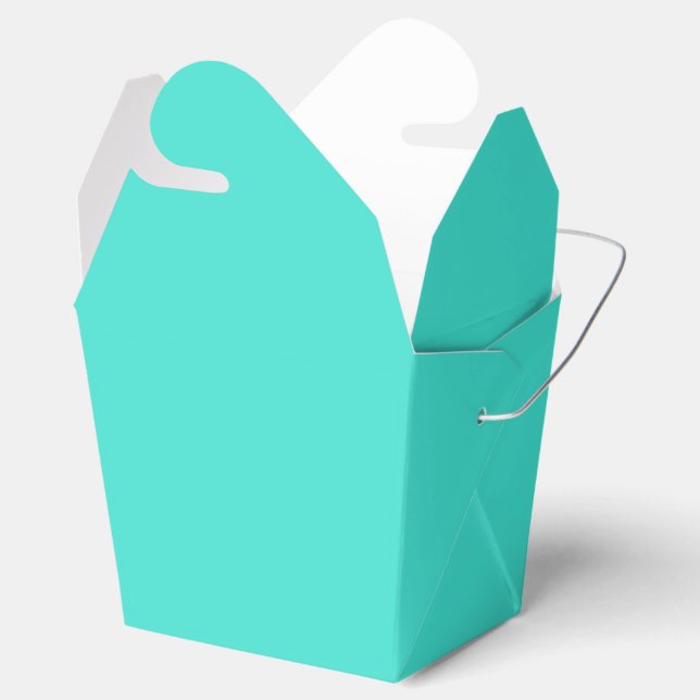 True Turquoise Favor Boxes (Opened)